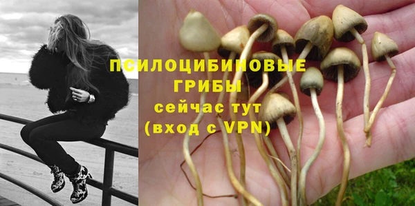 гидропоника Алексин